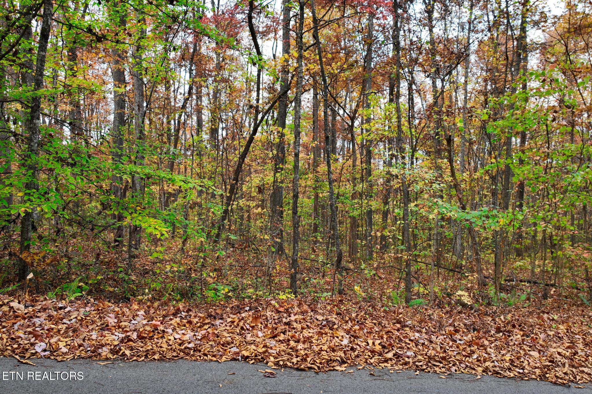 7 Walker Road Sharps Chapel, TN 37866 - Photo 3 of 12 Gallery Image 3