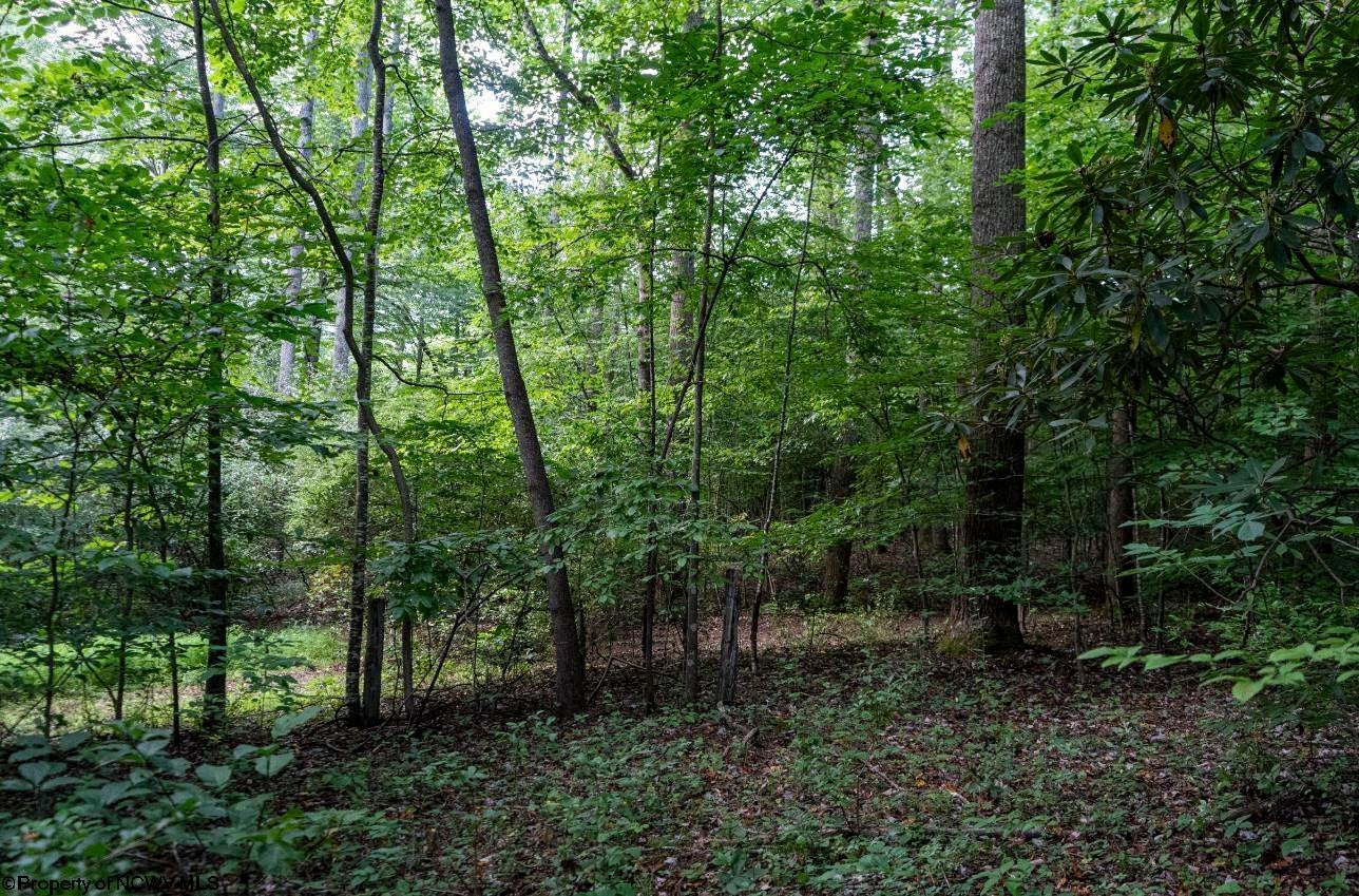 Tbd Highland Bridge Road Clarksburg, WV 26301 - Photo 8 of 21 Gallery Image 8