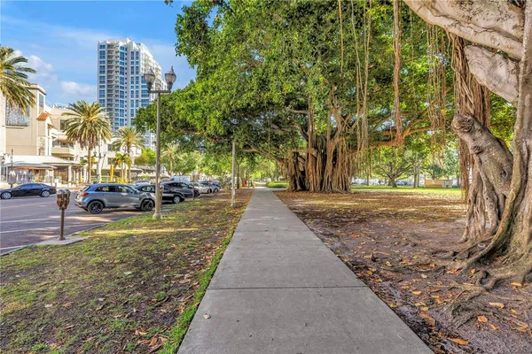 a view of swimming pool with a big yard and large trees