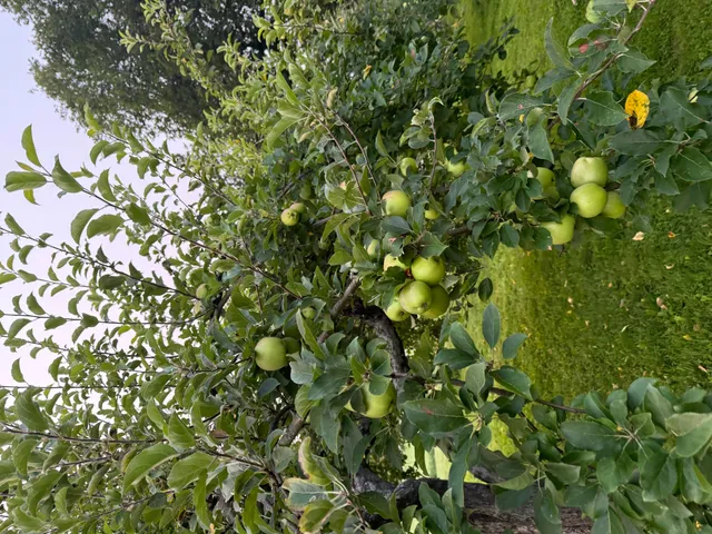 $534,000 | 356 Range Road, Dover Foxcroft, ME 04426