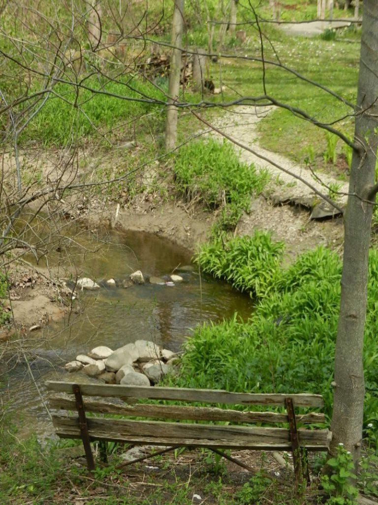 13345 South Prairie Road Harbert, MI 49115 - Photo 21 of 25 DSCN1527