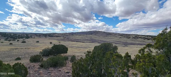 $88,000 | N5337 Concho Az 85924, Concho, AZ 85924