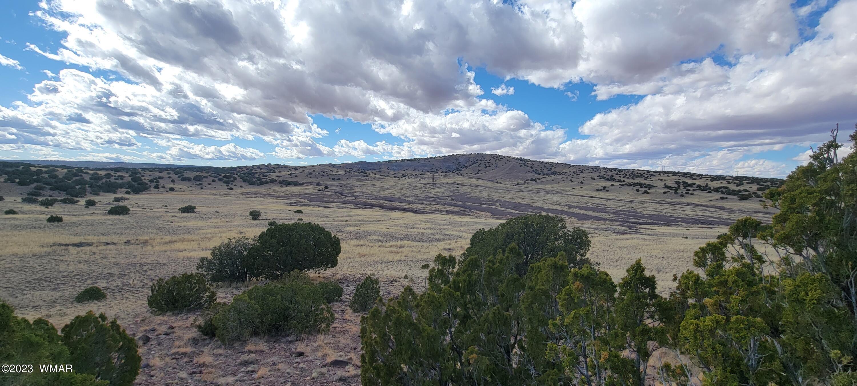 N5337 Concho Az 85924 Concho, AZ 85924 - Photo 1 of 8