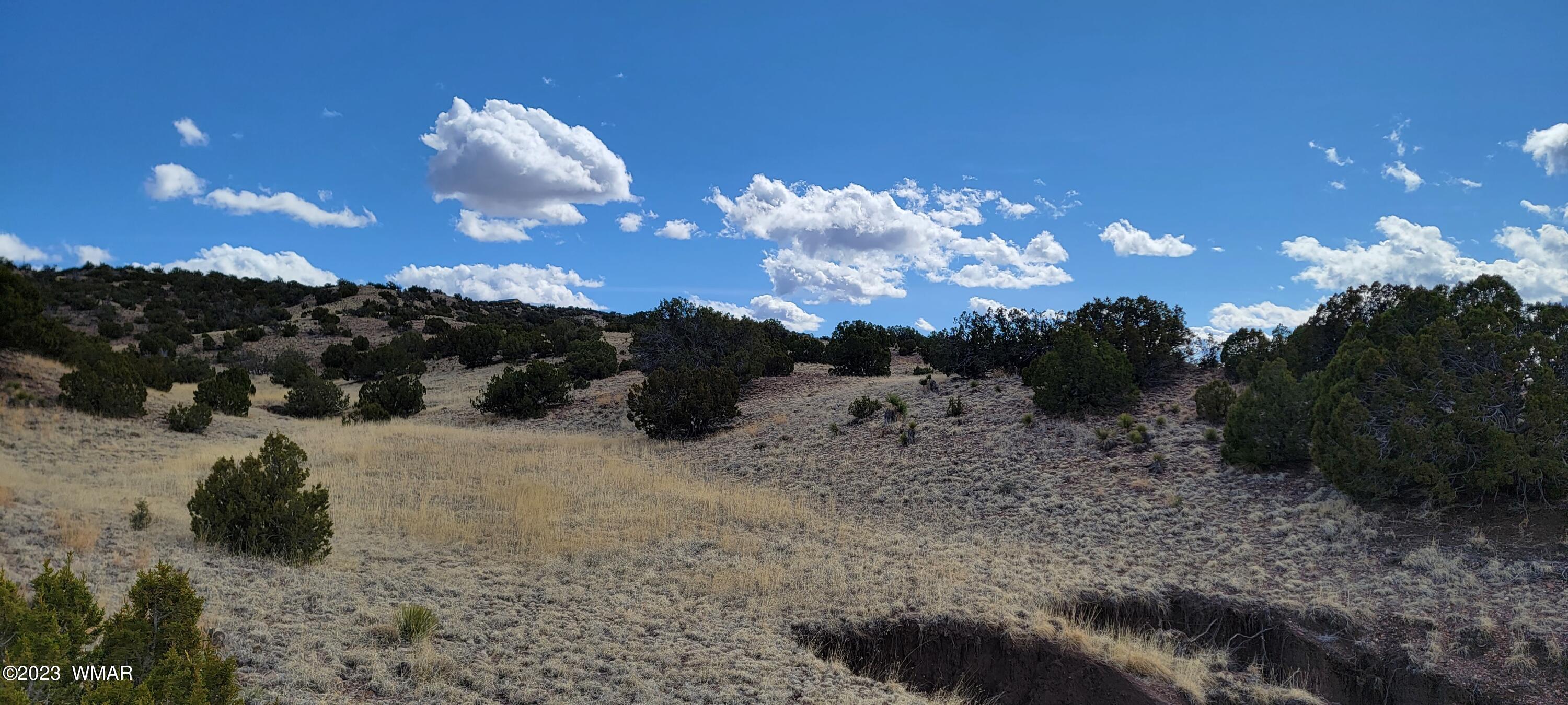 N5337 Concho Az 85924 Concho, AZ 85924 - Photo 3 of 8