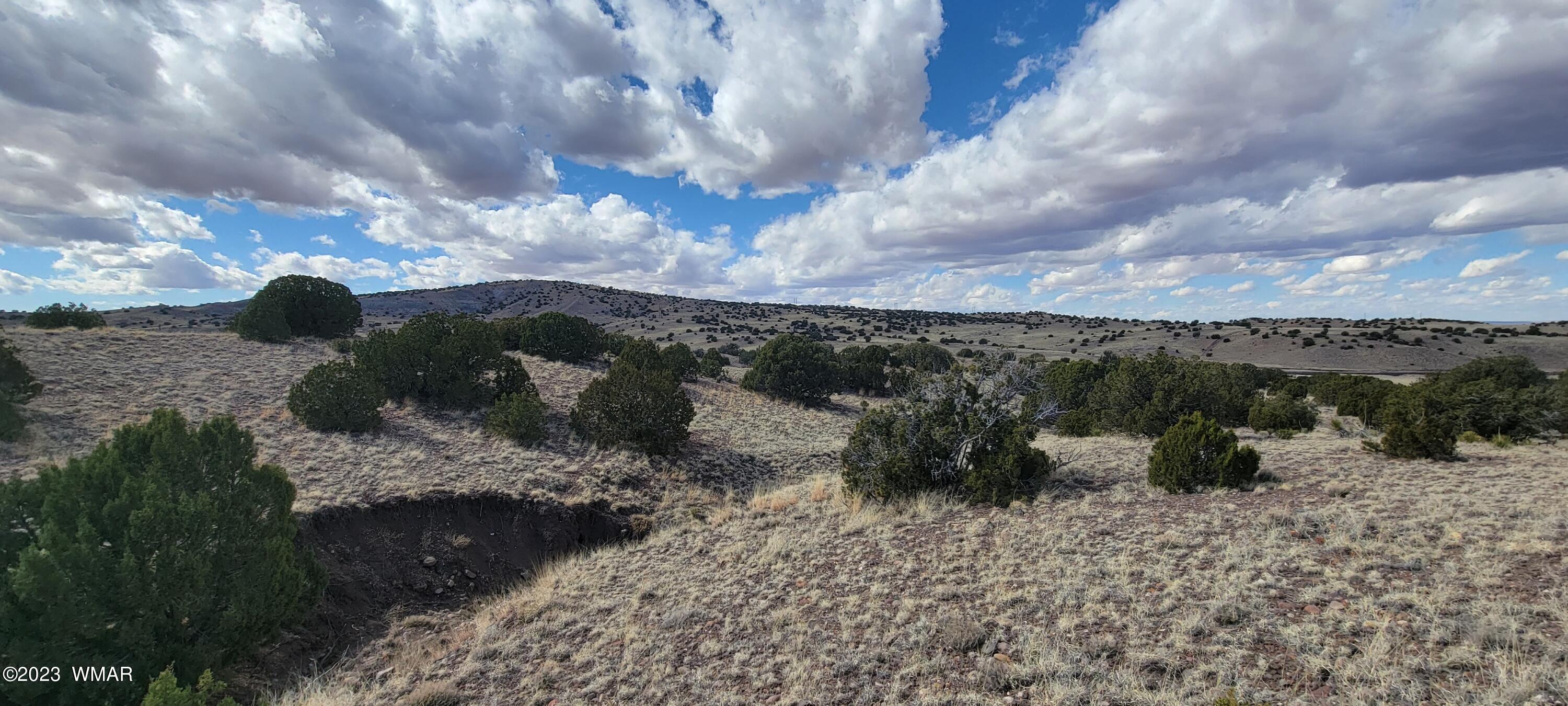 N5337 Concho Az 85924 Concho, AZ 85924 - Photo 4 of 8