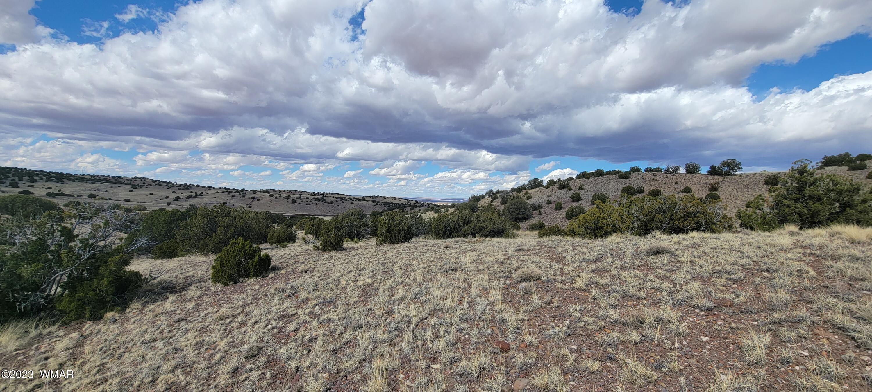 N5337 Concho Az 85924 Concho, AZ 85924 - Photo 5 of 8