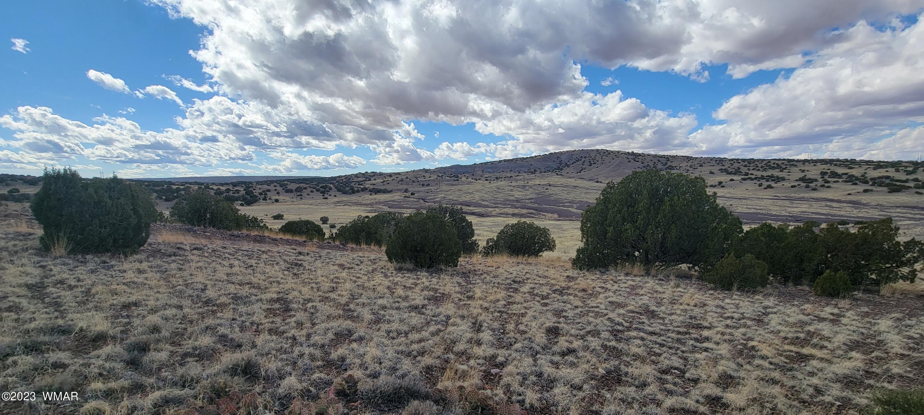 N5337 Concho Az 85924 Concho, AZ 85924 - Photo 6 of 8