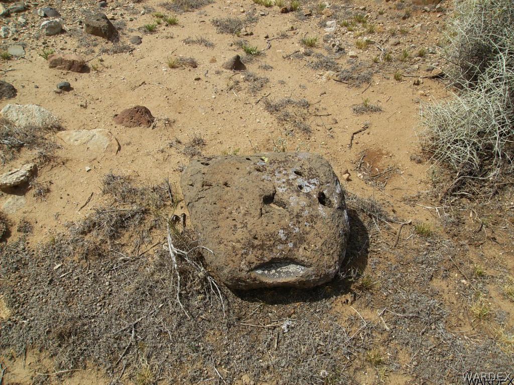 // North Bagdad Road Golden Valley, AZ 86413 - Photo 12 of 16 Ugly faced rock
