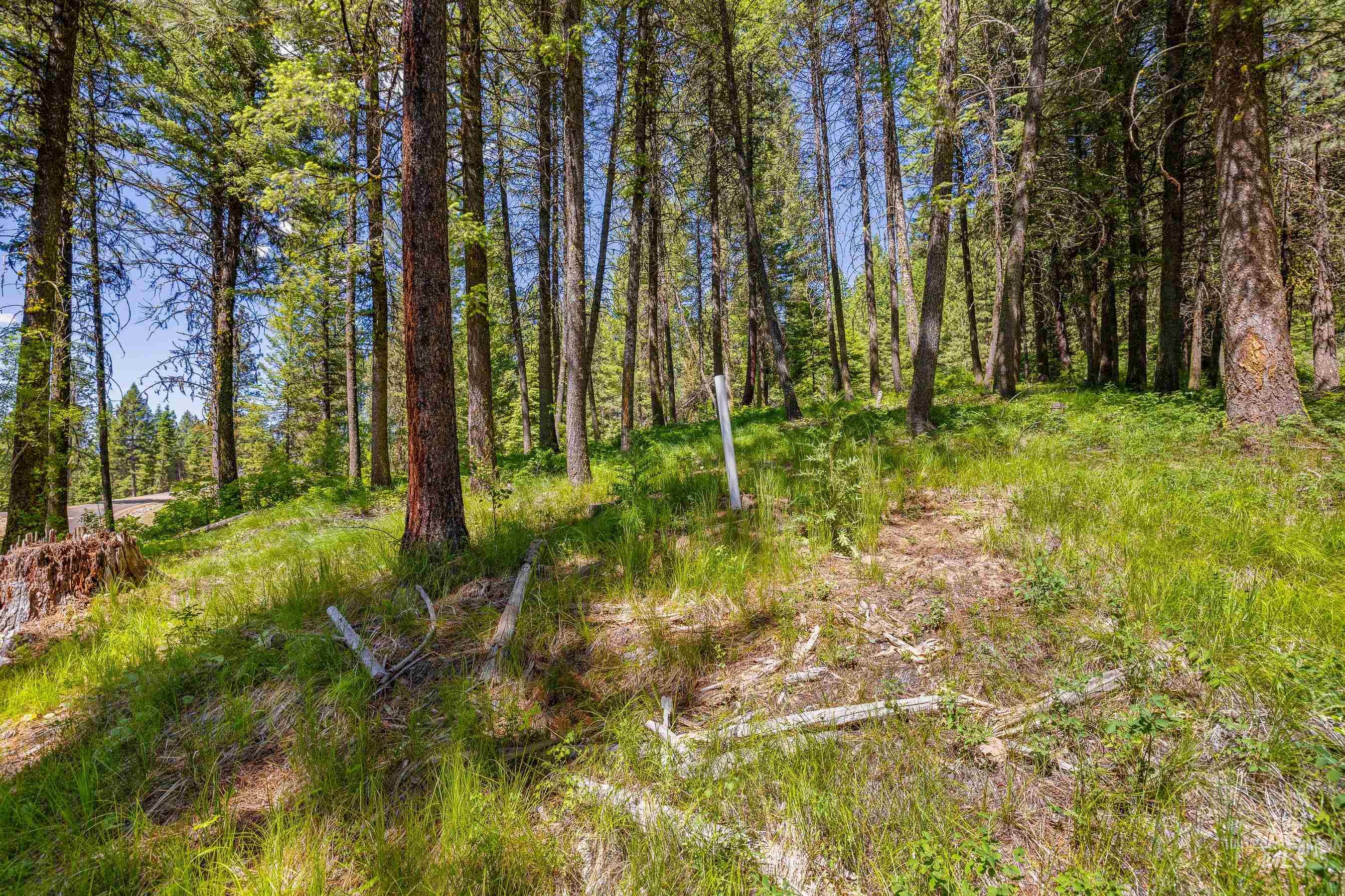 2 Spruce Hill Road McCall, ID 83638 - Photo 12 of 31