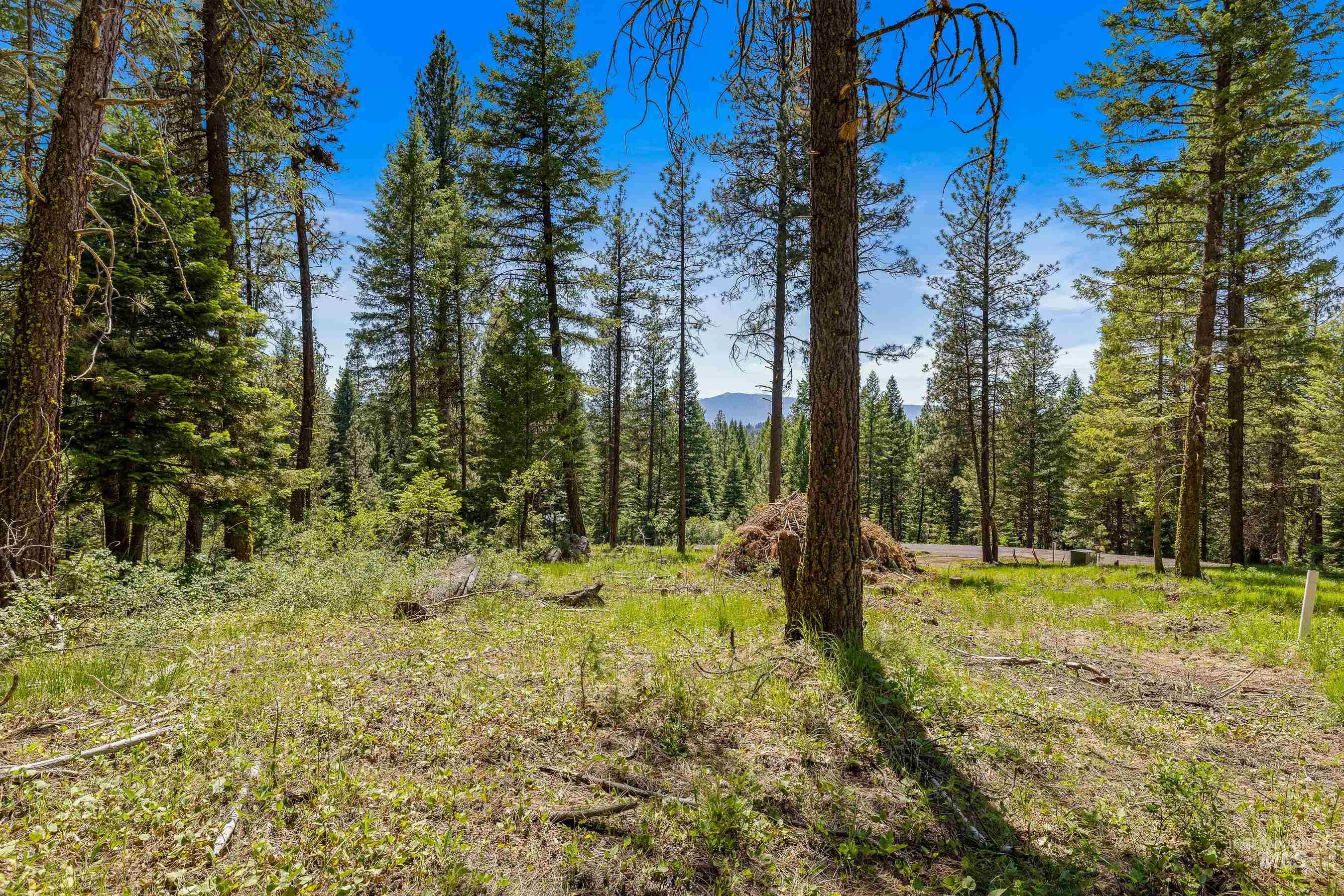 2 Spruce Hill Road McCall, ID 83638 - Photo 6 of 31