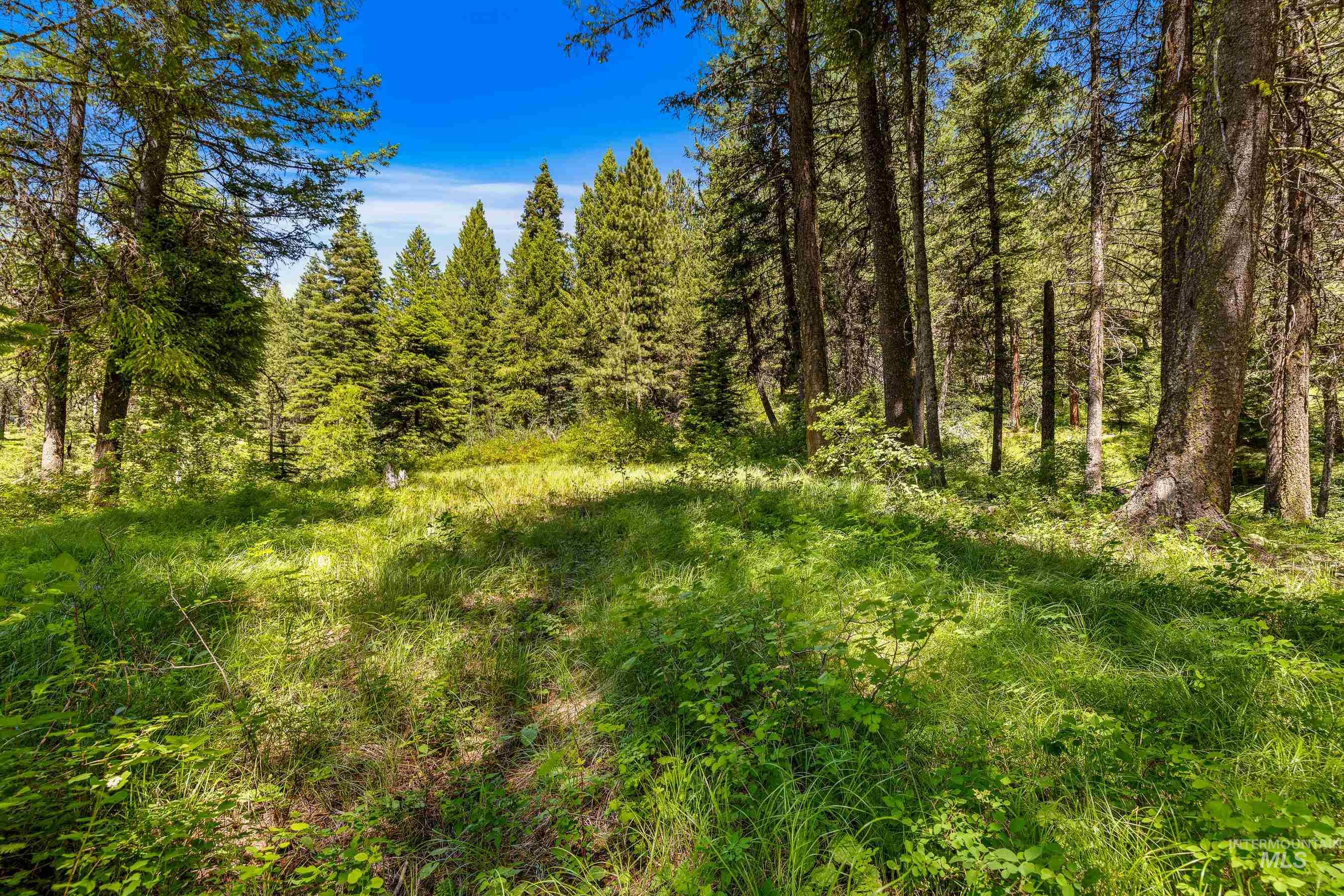 2 Spruce Hill Road McCall, ID 83638 - Photo 7 of 31
