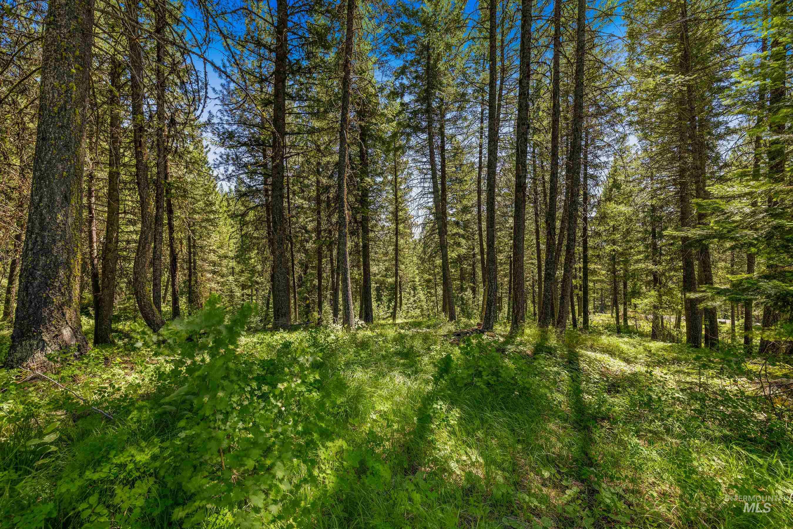 2 Spruce Hill Road McCall, ID 83638 - Photo 8 of 31