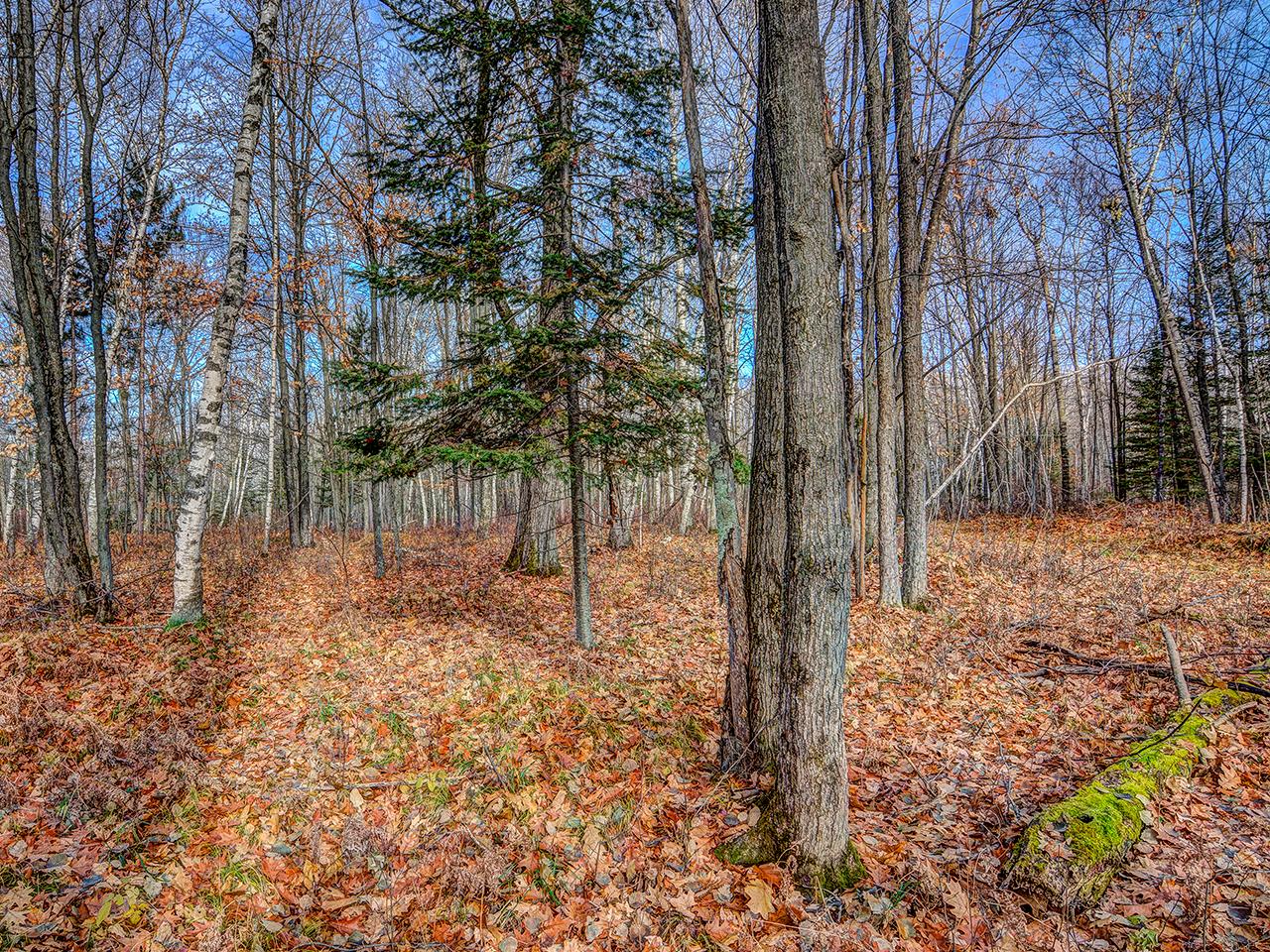 On Goodyear Lake Road Rhinelander, WI 54501 - Photo 24 of 26 Gallery Image 24