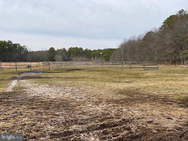 118 Moores Meadow Road Tabernacle, NJ 08088 - Photo 6 of 18 Gallery Image 6