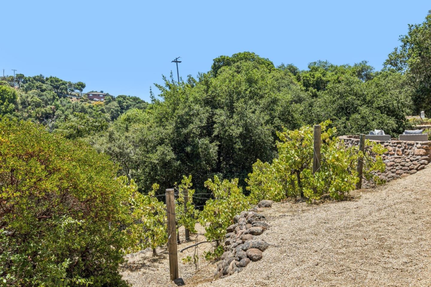 11270 Page Mill Road Los Altos Hills, CA 94022 - Photo 54 of 62