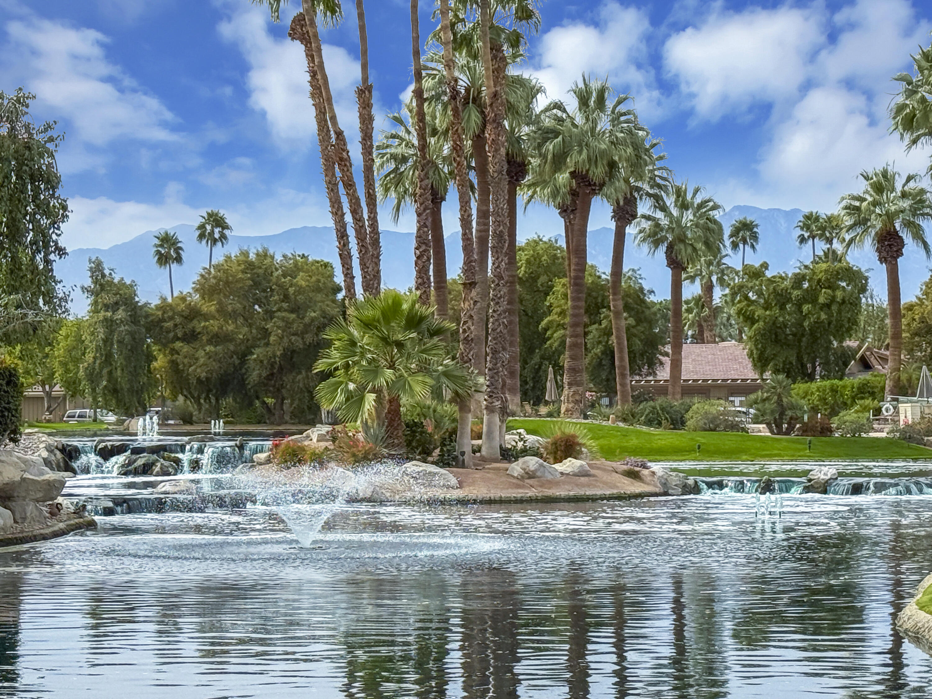 331 Red River Road Palm Desert, CA 92211 - Photo 38 of 56 a view of a yard with palm trees