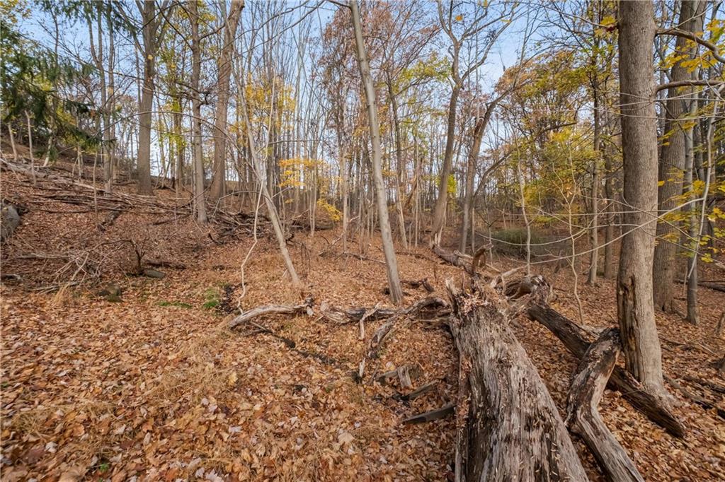 119 Klein Road Glenshaw, PA 15116 - Photo 34 of 37 Gallery Image 34