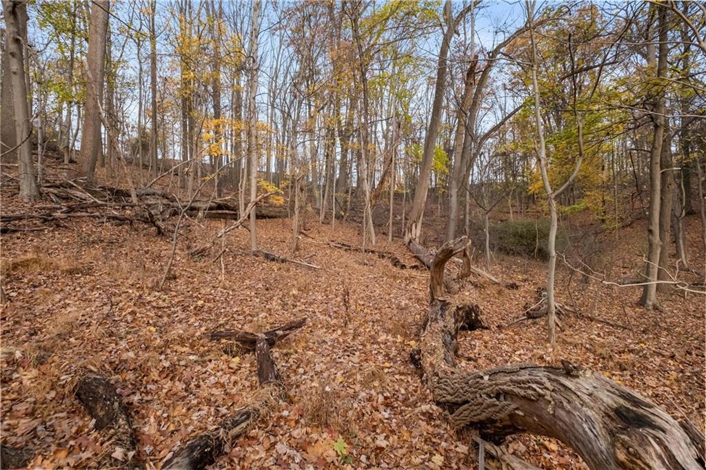 119 Klein Road Glenshaw, PA 15116 - Photo 35 of 37 Gallery Image 35