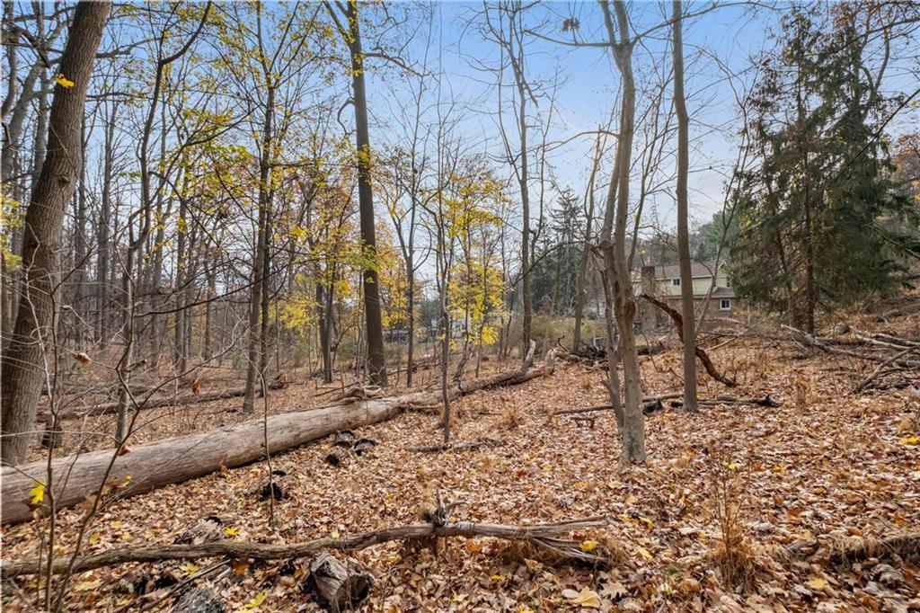 119 Klein Road Glenshaw, PA 15116 - Photo 36 of 37 Gallery Image 36