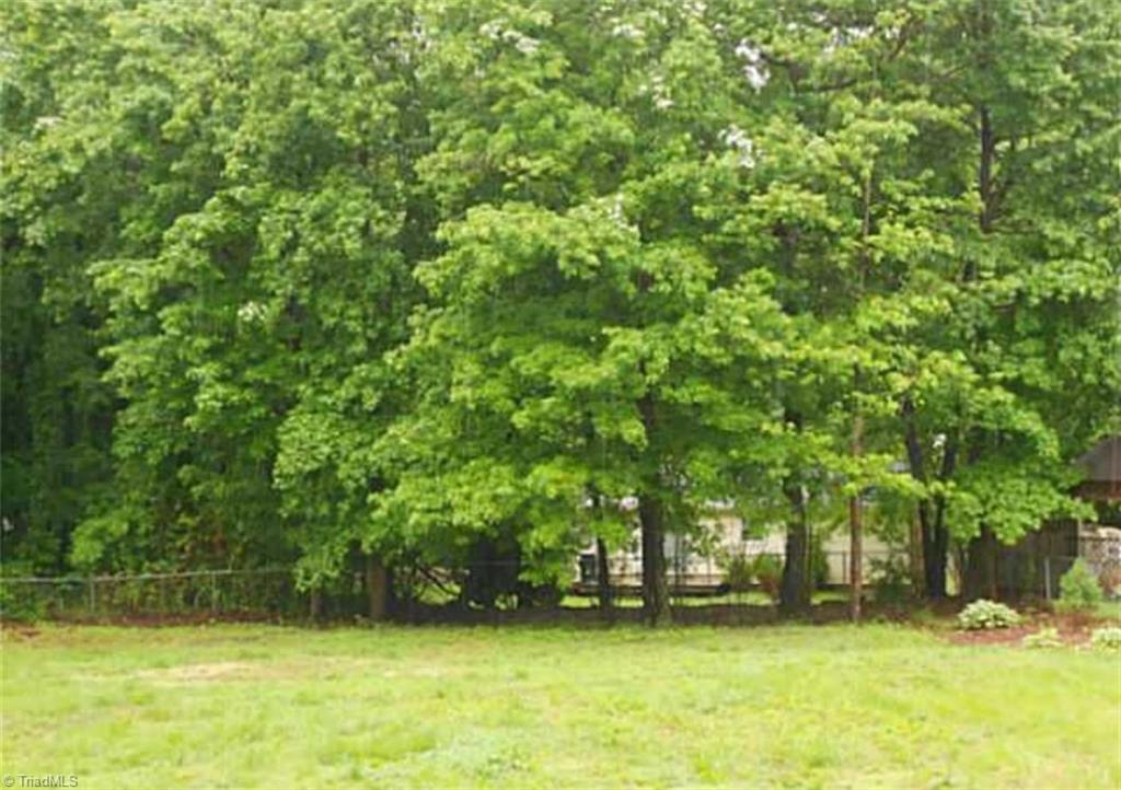 5160 Alaska Road Walkertown, NC 27051 - Photo 19 of 19 Gallery Image 19