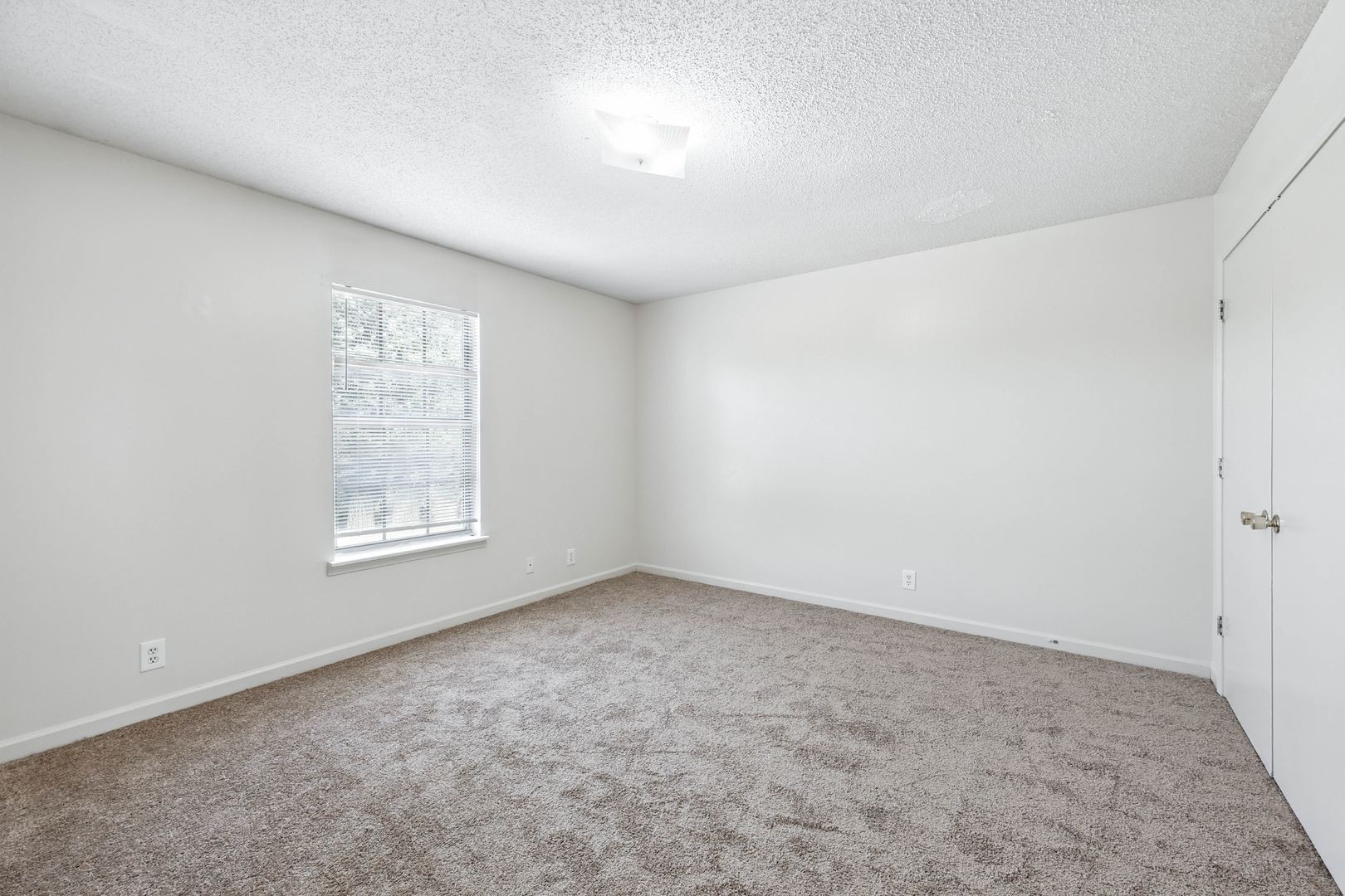 285 State Line Road Oak Grove, KY 42262 - Photo 11 of 18 an empty room with windows