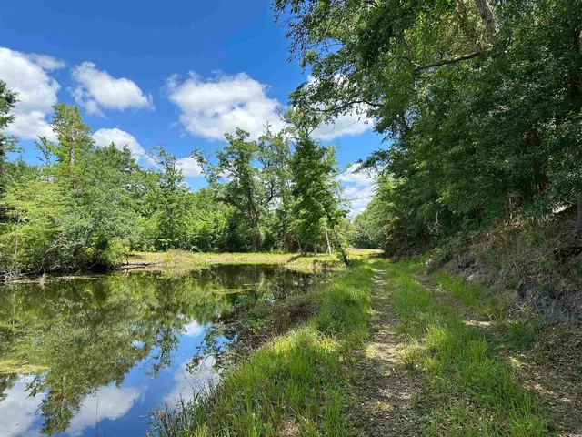 $512,000 | Tbd Easler Highway, Greeleyville, SC 29056