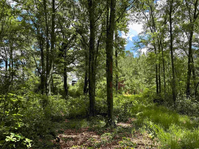 $512,000 | Tbd Easler Highway, Greeleyville, SC 29056