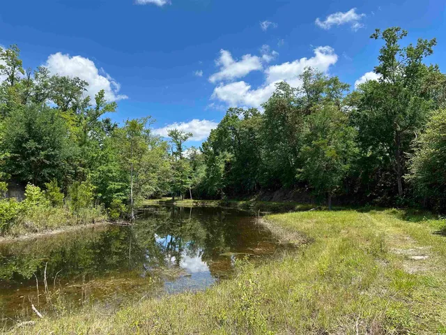 $512,000 | Tbd Easler Highway, Greeleyville, SC 29056