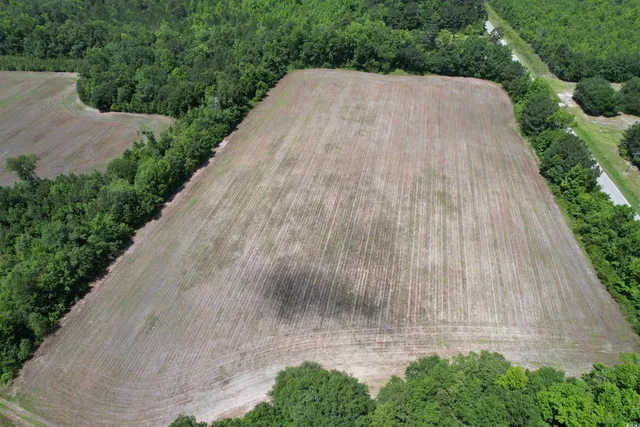 $512,000 | Tbd Easler Highway, Greeleyville, SC 29056