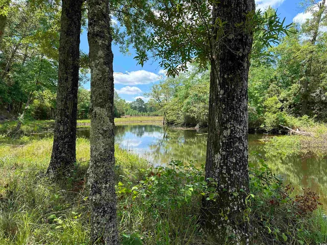 $512,000 | Tbd Easler Highway, Greeleyville, SC 29056