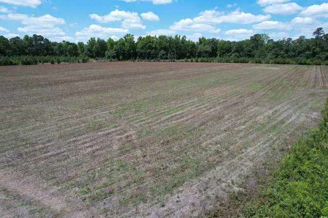$512,000 | Tbd Easler Highway, Greeleyville, SC 29056