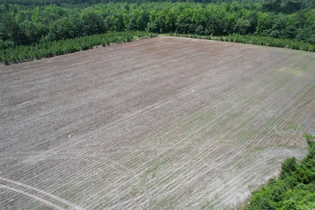 $512,000 | Tbd Easler Highway, Greeleyville, SC 29056