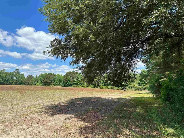 $512,000 | Tbd Easler Highway, Greeleyville, SC 29056