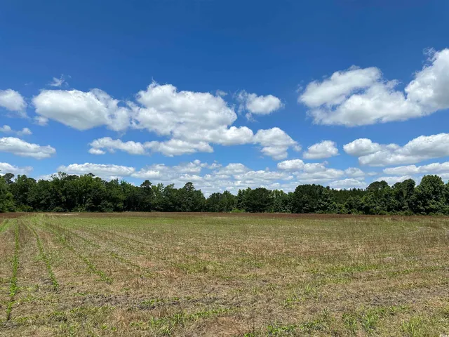 $512,000 | Tbd Easler Highway, Greeleyville, SC 29056
