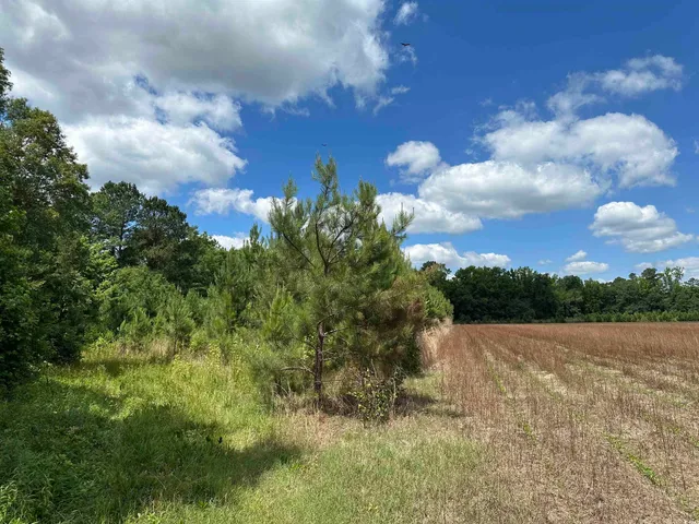 $512,000 | Tbd Easler Highway, Greeleyville, SC 29056