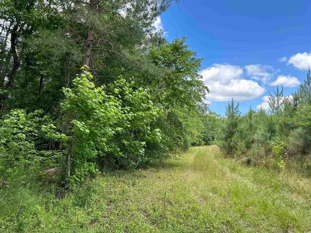 $512,000 | Tbd Easler Highway, Greeleyville, SC 29056