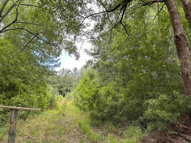 $512,000 | Tbd Easler Highway, Greeleyville, SC 29056