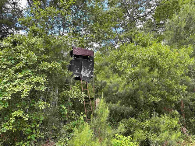 $512,000 | Tbd Easler Highway, Greeleyville, SC 29056