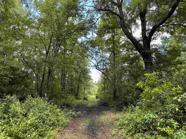 $512,000 | Tbd Easler Highway, Greeleyville, SC 29056