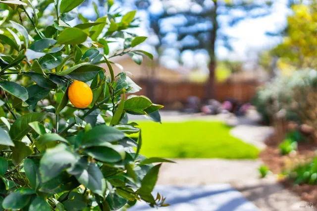 a view of an house with backyard and sitting area