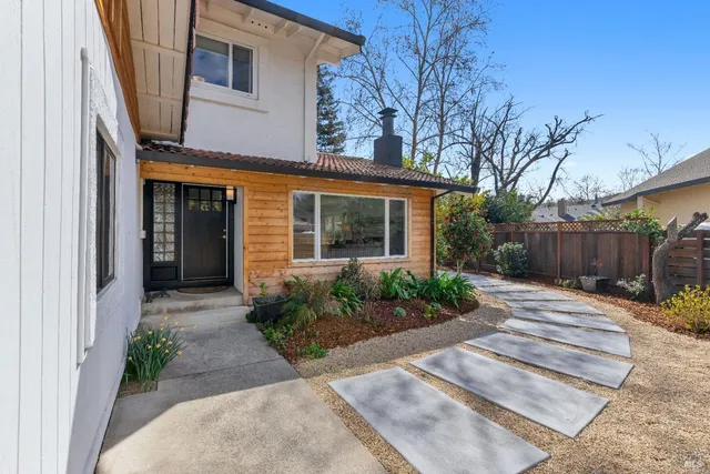 a kitchen counter with a potted plant on the counter and sink