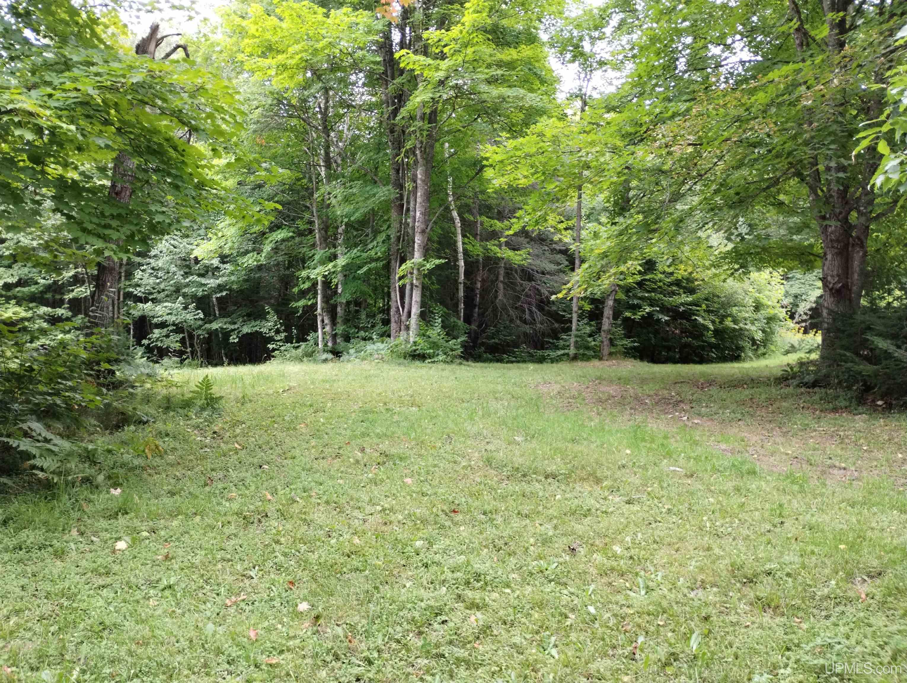 6766 Co Road, Unit ALSO KNOWN AS BLACKHILL S Champion, MI 49814 - Photo 56 of 80