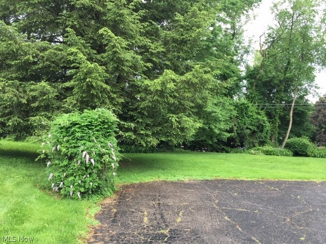 4551 3rd Street Northwest Canton, OH 44708 - Photo 3 of 15 Gallery Image 3