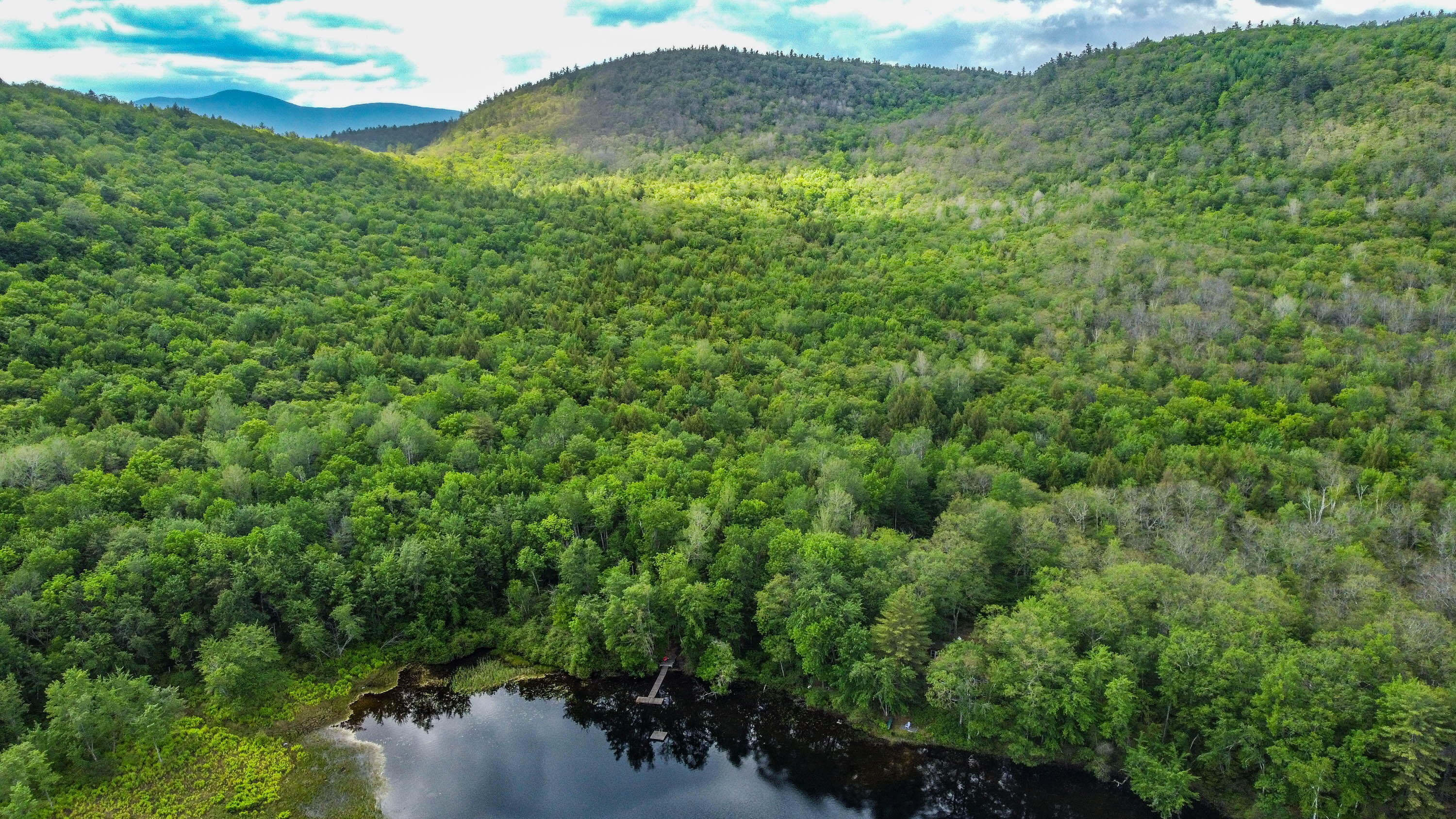 142 5 Kezar Ponds Road Waterford, ME 04088 - Photo 62 of 73 20220610gp-67034