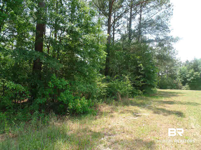 500 County Road 462 Kinston, AL 36453 - Photo 3 of 25