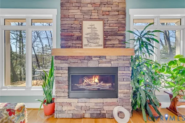 a fireplace with potted plants in front of it