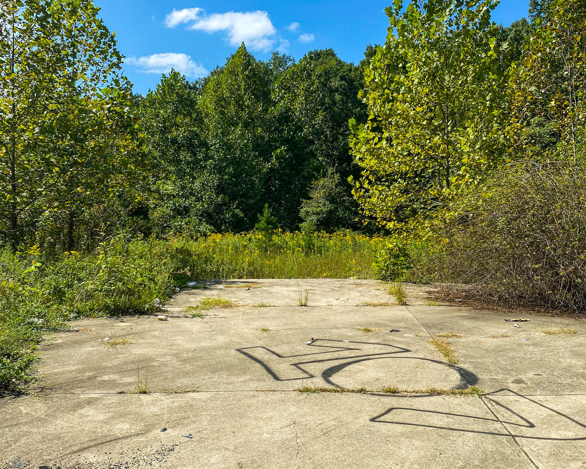 185 Sugar Tree Hollow Road Burnside, KY 42519 - Photo 6 of 10 IMG_0246