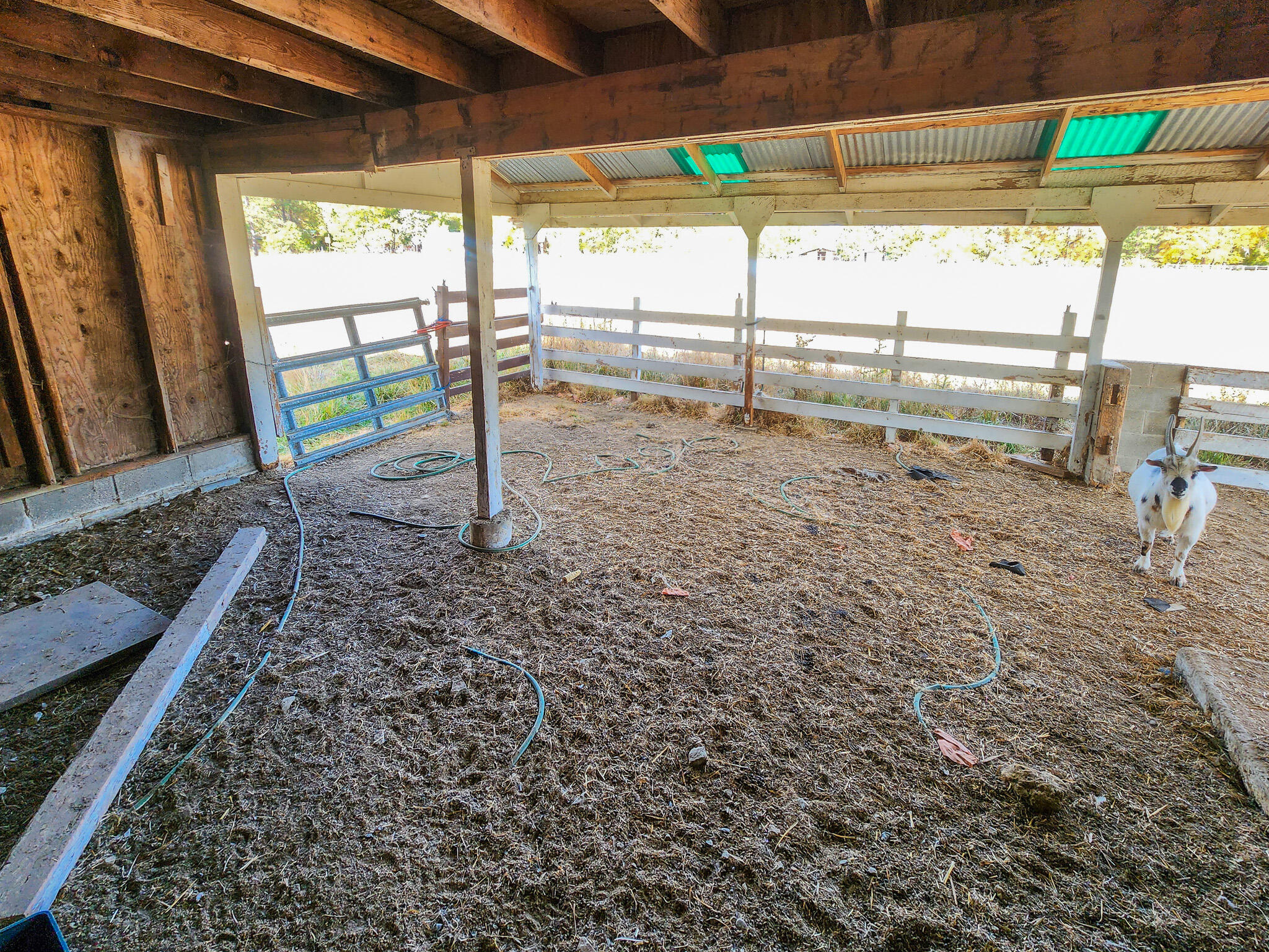975 Cedar Flat Road Williams, OR 97544 - Photo 24 of 72 32