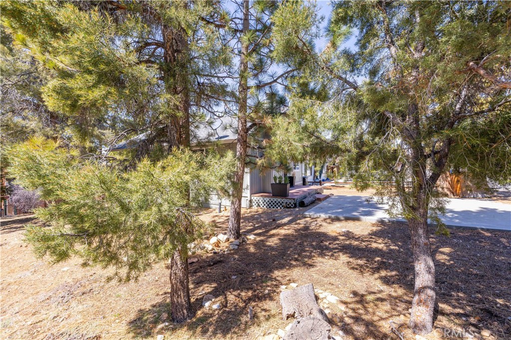 196 Sunset Lane Sugarloaf, CA 92386 - Photo 20 of 26 a backyard of a house with table and chairs