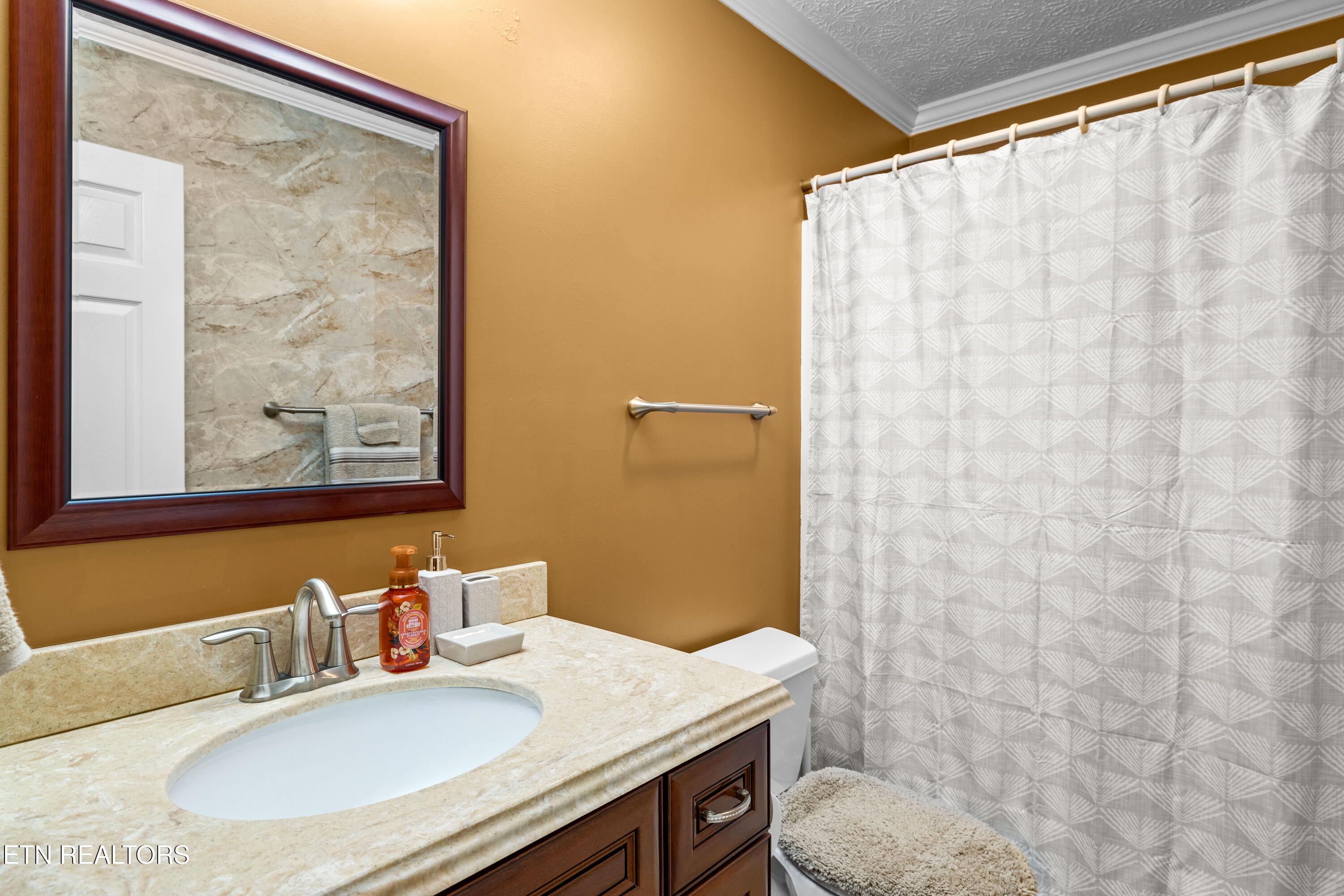 7245 Ghiradelli Road Knoxville, TN 37918 - Photo 8 of 39 7245GhiradelliRd-32